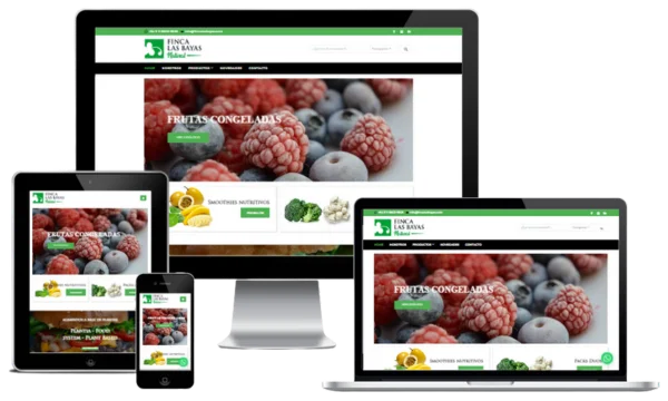 Desarollo web ecommerce en wordpress para Finca Las Bayas