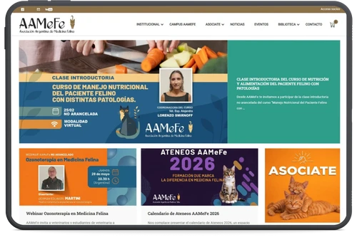 Sitio de cursos AAMEFE