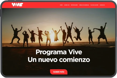 Ejemplo de landing Programa Vive